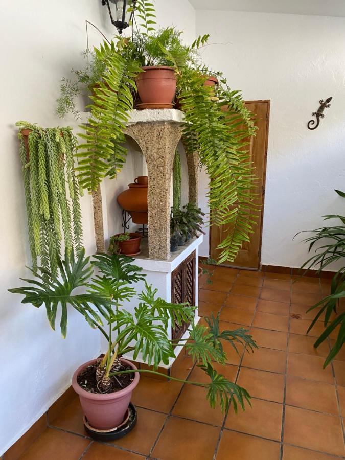 Casa En Mogan Villa Las Burrillas Ngoại thất bức ảnh